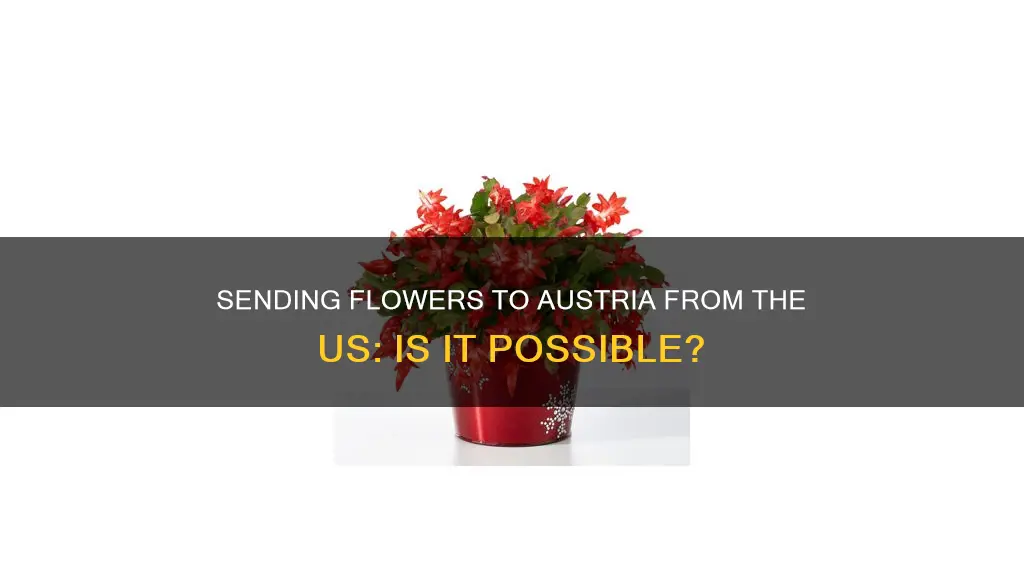 can you deliver flower to austria from us