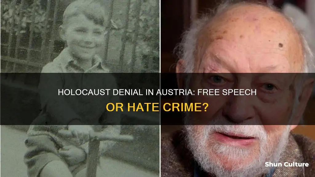 can you deny the holocaust in austria