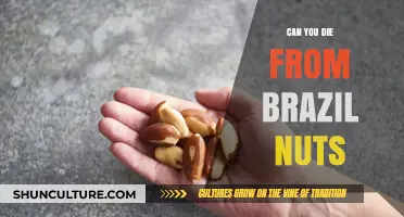 Can Brazil Nuts Be Deadly? Uncovering the Risks and Facts