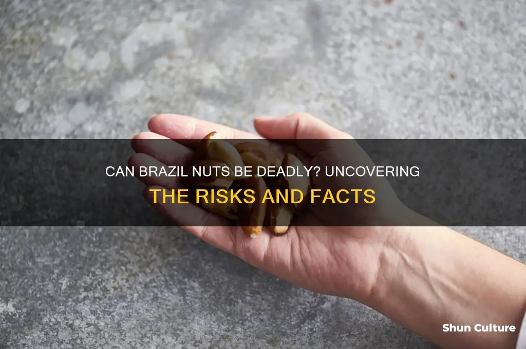 can you die from brazil nuts
