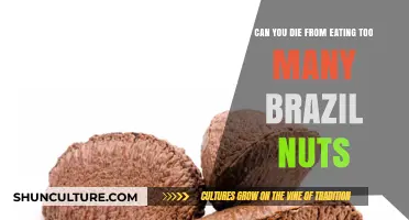 Brazil Nuts Overdose: Can Excess Consumption Be Fatal?