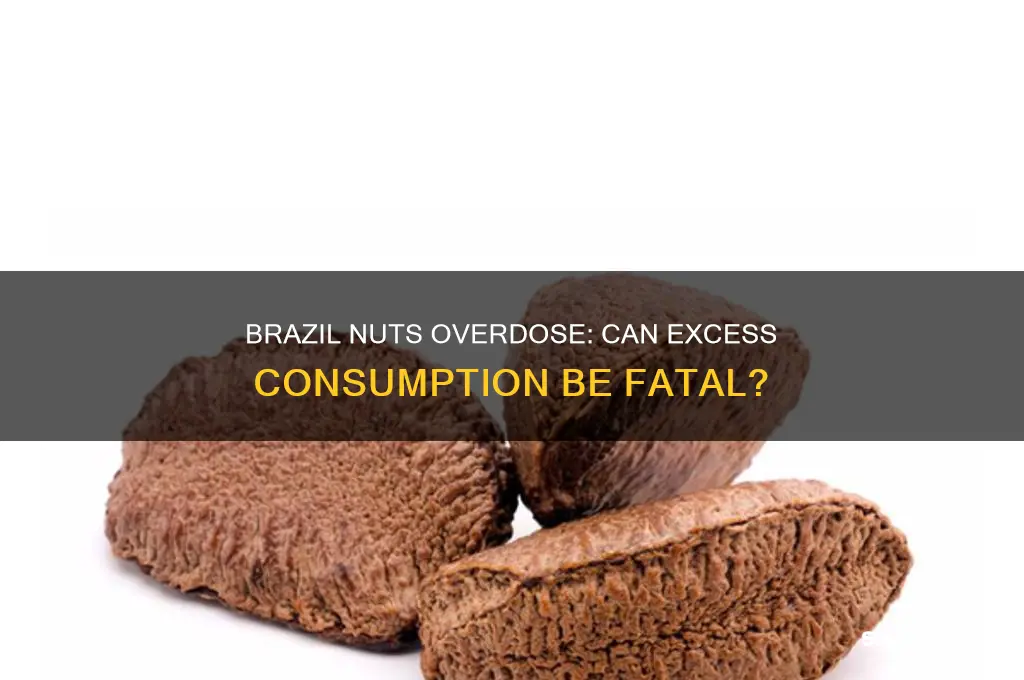 can you die from eating too many brazil nuts