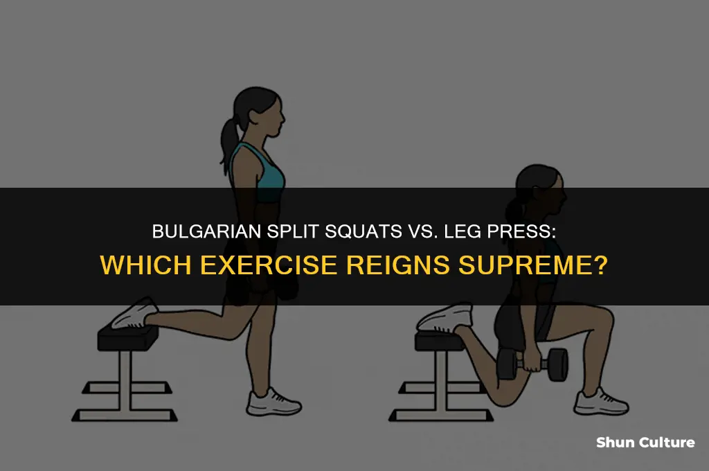 can you do bulgarian split squats on a leg press