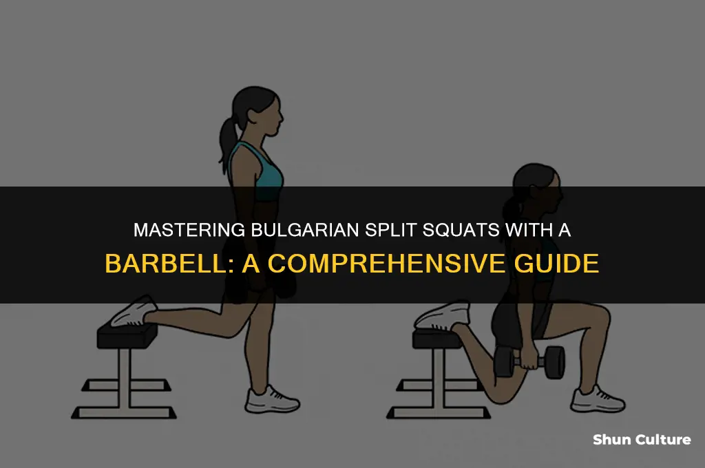 can you do bulgarian split squats with barbell