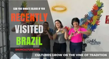 Donating Blood After Brazil Travel: What You Need to Know