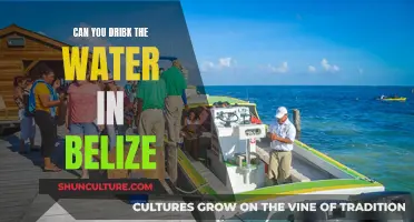 Belize's Water: Safe to Drink or Not?