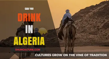 Exploring Algeria's Alcohol Laws: Can Tourists Drink in the Country?