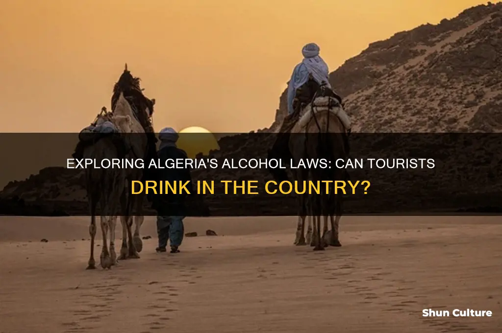 can you drink in algeria