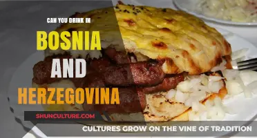 Exploring Bosnia and Herzegovina's Drinking Culture: What You Need to Know