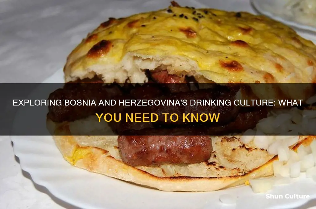 can you drink in bosnia and herzegovina