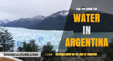 Exploring Argentina: Is Tap Water Safe to Drink?