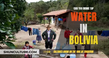 Bolivia's Tap Water: Safe to Drink?