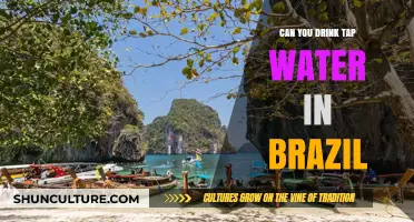 Is Tap Water Safe to Drink in Brazil? A Traveler's Guide