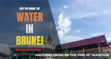 Brunei's Tap Water: Safe for Drinking?