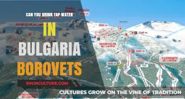 Exploring Borovets: Is Tap Water Safe to Drink in Bulgaria's Ski Resort?