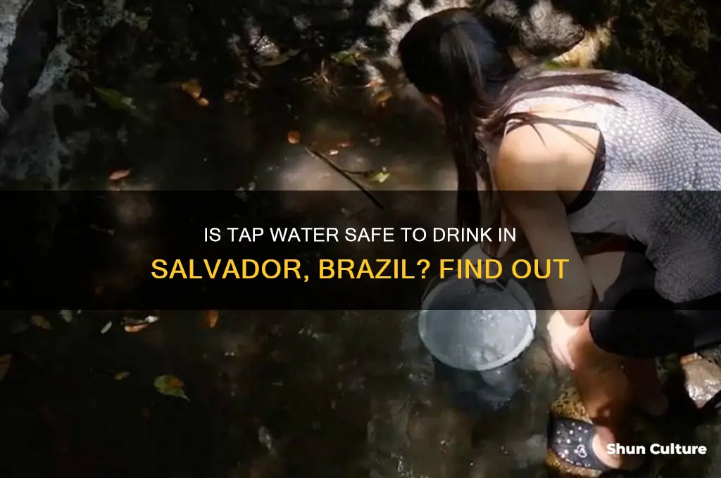 can you drink tap water in salvador brazil