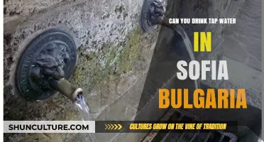 Exploring Sofia's Tap Water: Safe to Drink or Not?