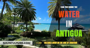 Is Antigua's Tap Water Safe to Drink? A Traveler's Guide