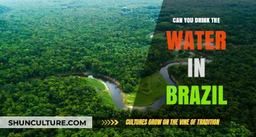 Is Brazil's Tap Water Safe to Drink? A Traveler's Guide