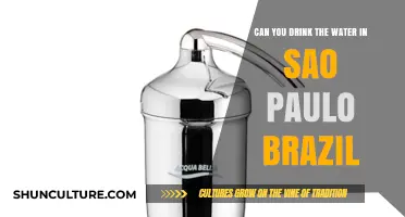 Is Tap Water Safe in São Paulo, Brazil? A Traveler's Guide