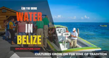 Belize's Drinking Water: Safe or Not?