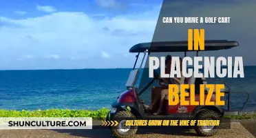 Golf Cart Travel in Placencia, Belize: Is It Allowed?