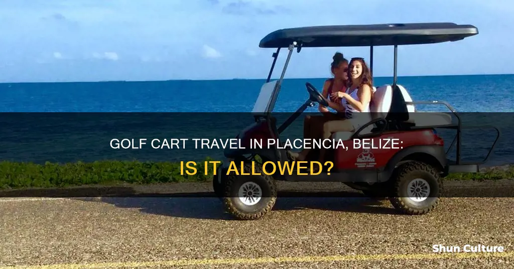 can you drive a golf cart in placencia belize