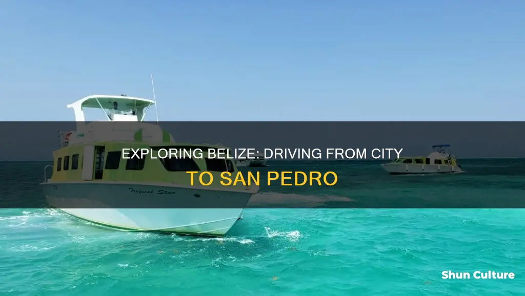 can you drive from belize city to san pedro belize