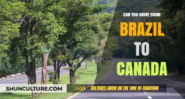 Exploring the Pan-American Highway: Can You Drive Brazil to Canada?