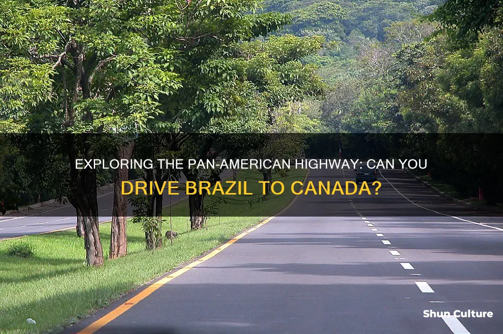 can you drive from brazil to canada