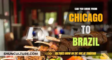 Driving from Chicago to Brazil: Possible Routes and Challenges Explored