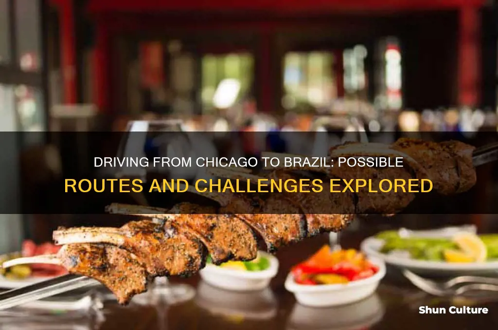 can you drive from chicago to brazil