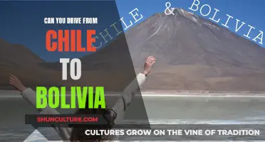 Exploring Chile and Bolivia: A Road Trip Adventure