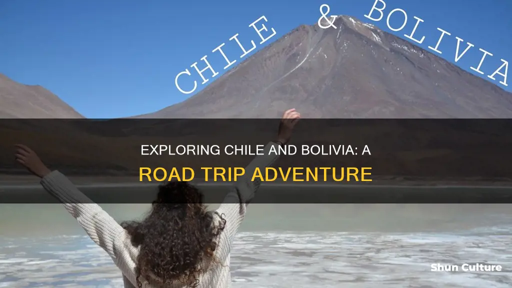 can you drive from chile to bolivia