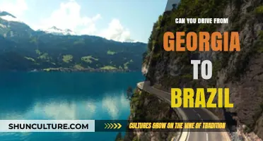 Driving from Georgia to Brazil: Possible Routes and Challenges Explained