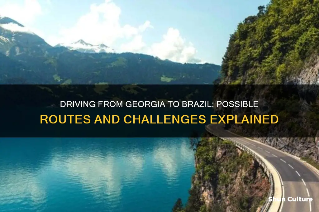 can you drive from georgia to brazil