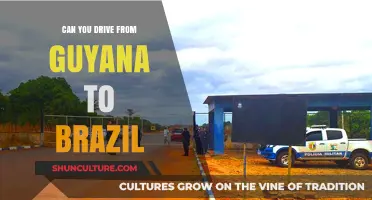 Exploring Guyana to Brazil: Is a Road Trip Possible?
