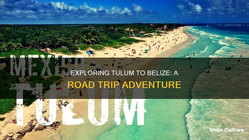 can you drive from tulum to belize