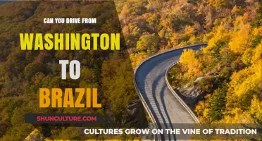 Driving from Washington to Brazil: Possible Routes and Challenges Explained