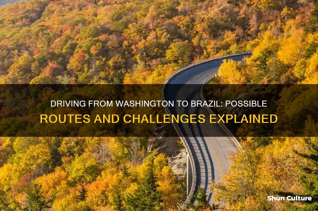 can you drive from washington to brazil