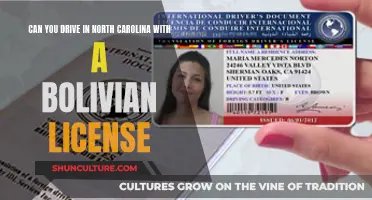 Driving in North Carolina with a Foreign License: Allowed?