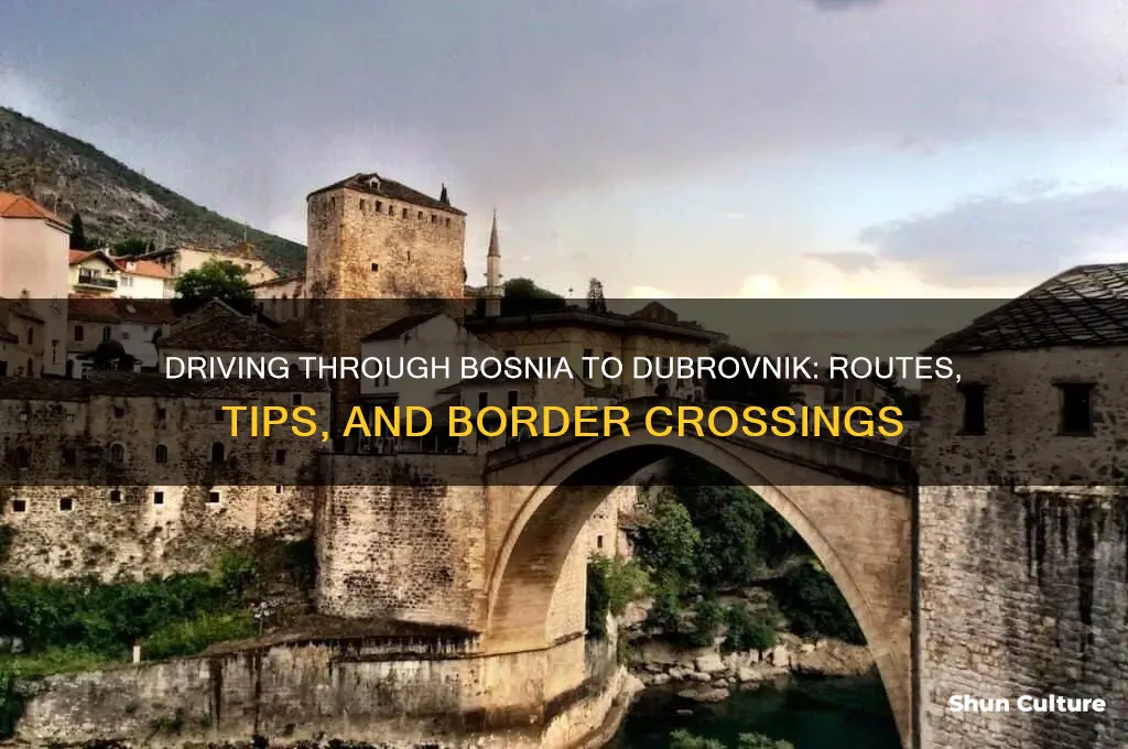 can you drive through bosnia to get to dubrovnik