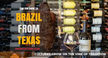 Driving to Brazil from Texas: Possible Routes and Challenges Explained