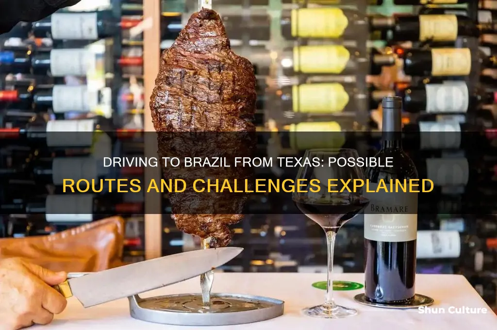 can you drive to brazil from texas