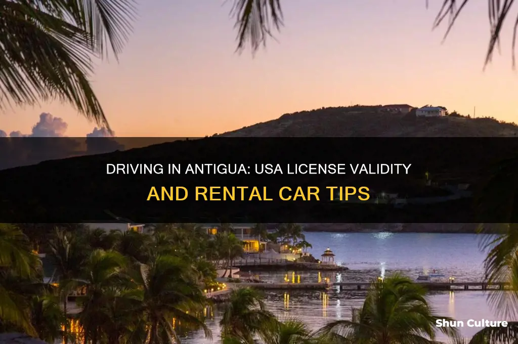 can you drive with a usa drivers license in antigua