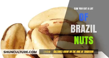 Brazil Nuts: How Many Can You Safely Eat Daily?
