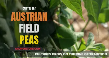 Exploring Austrian Field Peas: Edible and Nutritious Delicacy