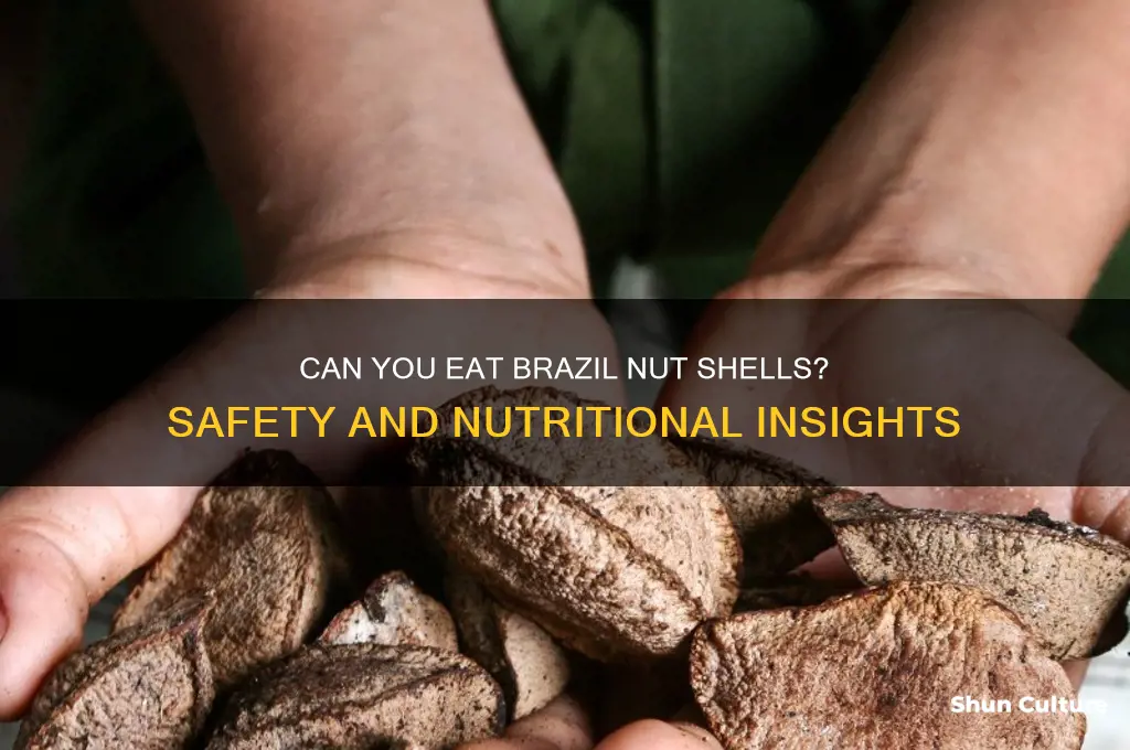 can you eat brazil nut shells
