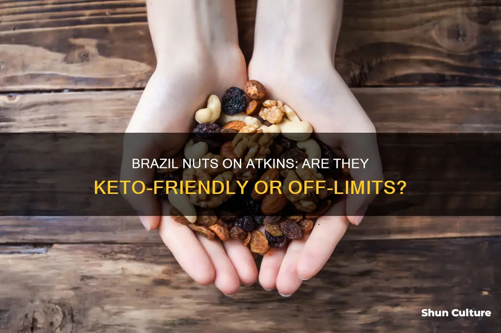 can you eat brazil nuts on atkins