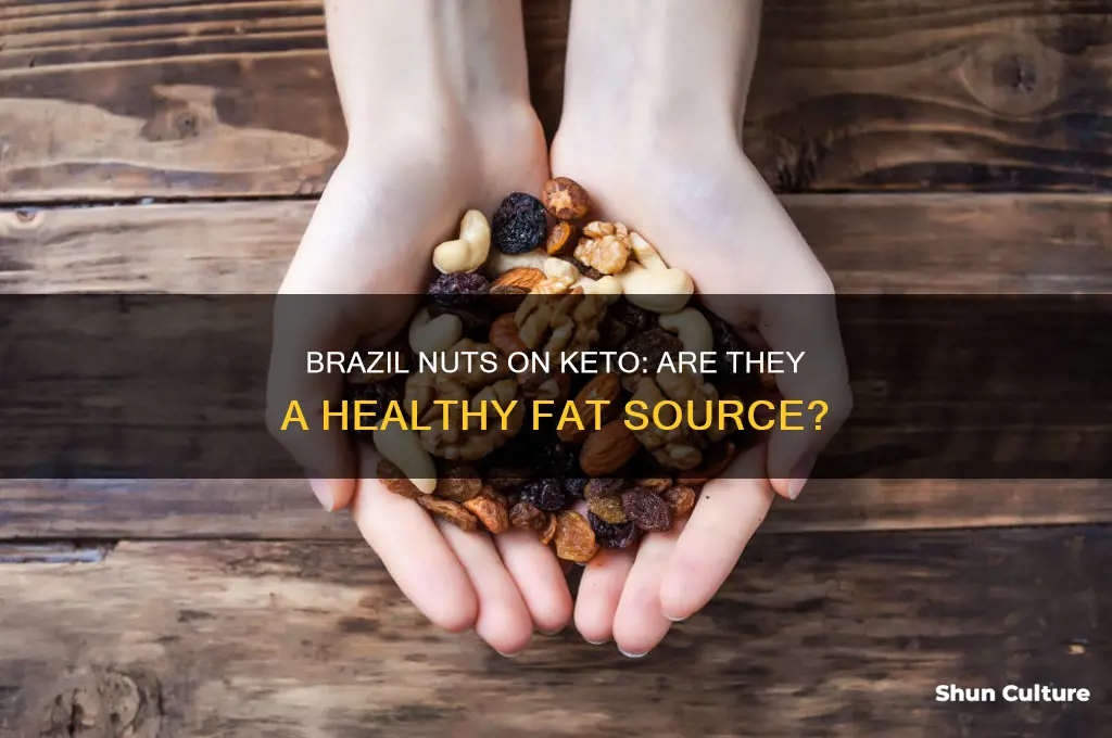 can you eat brazil nuts on kato diet